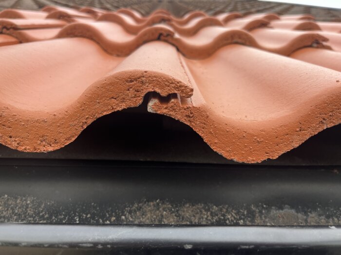 Närbild på röda takpannor av betong som inte ligger platt, med synliga mellanrum och ojämnheter i placeringen.