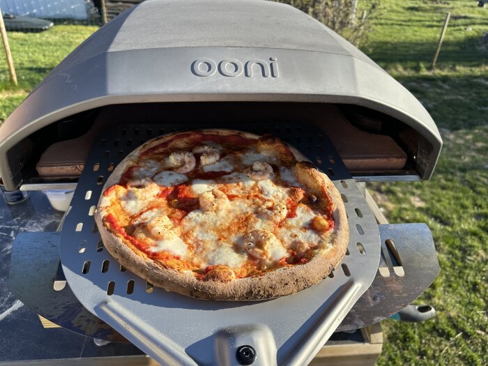 Pizza med ost och räkor bakas i en ugn utomhus på en pizzasten en solig dag.