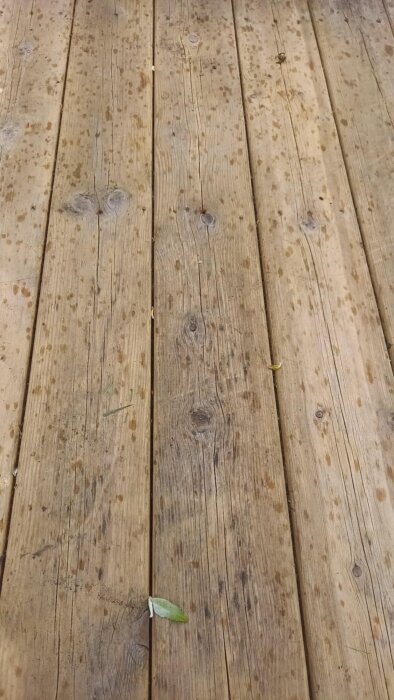 Träaltan med tvättade plankor, fortfarande fläckiga efter rengöring. Enstaka bladrester finns kvar mellan brädorna.