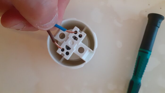 17475074152782704717331612750514.jpg