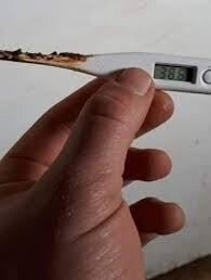 En person håller en digital termometer som visar 38.6°C.