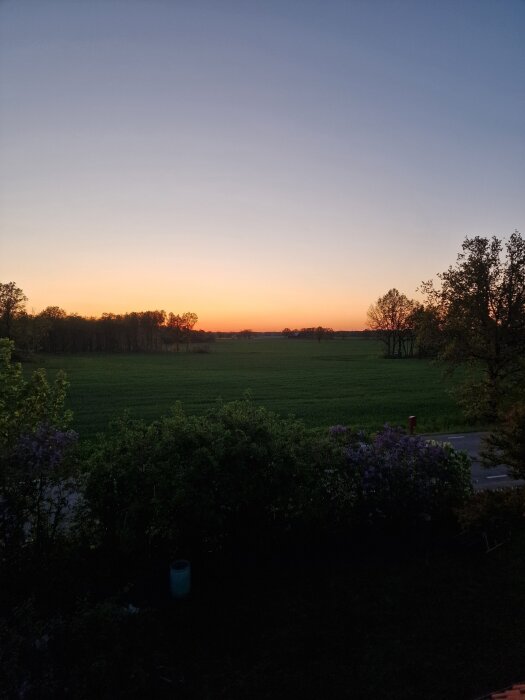 Solnedgång över ett öppet fält med träd i bakgrunden och buskar i förgrunden, fångat i mjuka kvällsfärger.