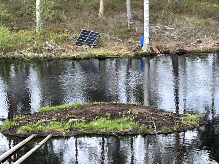 Solpanel vid strandkant nära damm omgiven av skog.