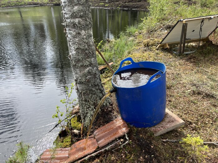 Blå tunna fylld med sand och vatten, ansluten till ett pumpsystem vid en trädstam nära en solpanel och en sjö i skogsmiljö.