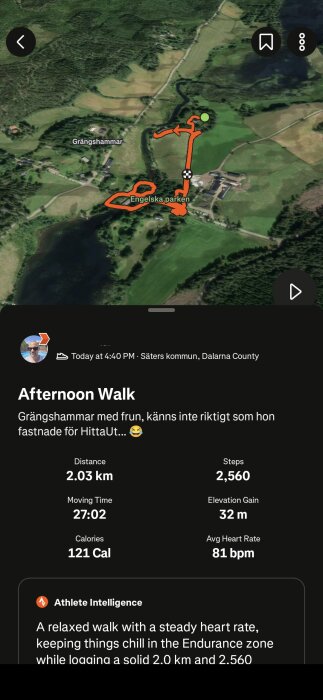 Satellitbild över Grängshammar och Engelska parken med en orange spårning av en promenad. Statistik om sträcka, tid, steg och kaloriförbrukning visas.
