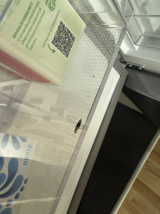 Insekt i ett kylskåp bredvid förpackningar med livsmedel.