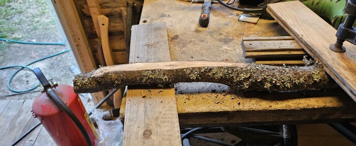 En träbit med laven på, placerad på en arbetsbänk i en verkstad, förberedd för att anpassas som skaft till en spade.