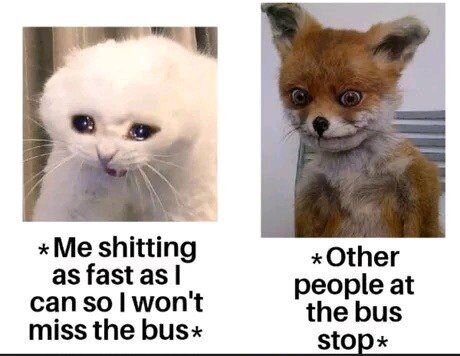 Bild med två djur, ett som ser stressat ut och ett som ser förvirrat ut, med text om att försöka hinna till bussen och andra vid busshållplatsen.
