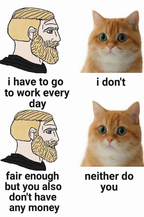 Tecknad man och katt i en humoristisk dialog om arbete och pengar. Man beklagar sig över jobb medan katten svarar att man också saknar pengar.