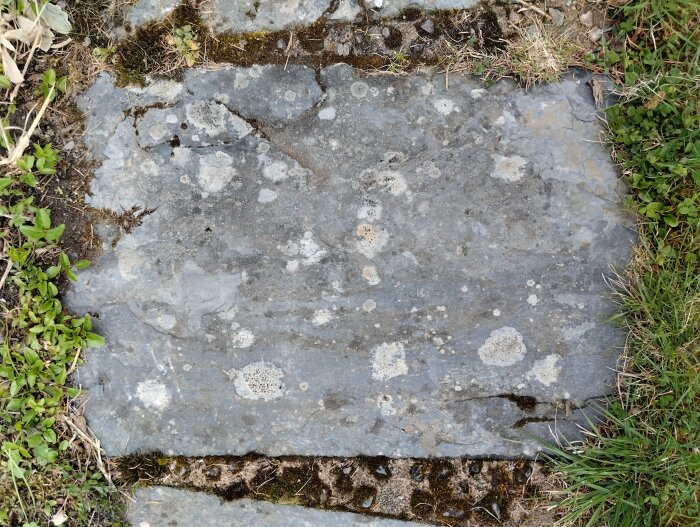 Stålborstad skifferplatta med ingrodd mossa och lavar, omgiven av gräs och vegetation.