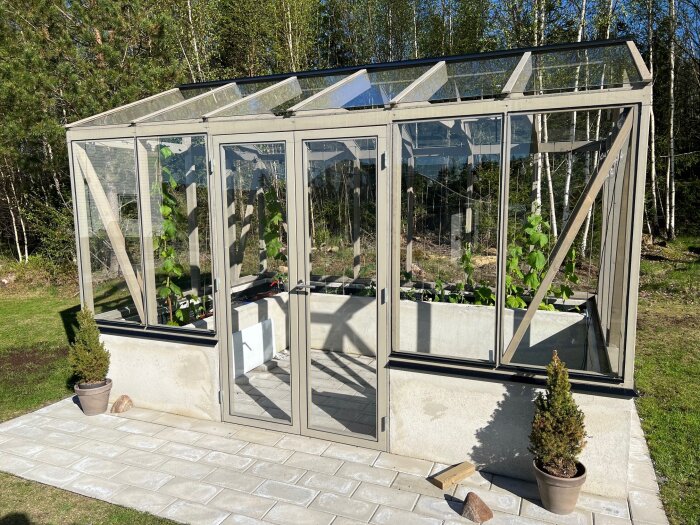 Växthus med glasväggar byggt i lösvirke, med planterade växter inuti. Taket har glasrutor på EPDM-listar och en trälist.