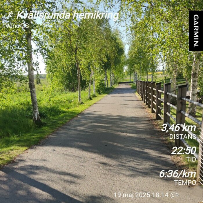 Asfalterad gångväg kantad av björkar och staket i soligt väder, med statistik från ett träningspass inklusive distans, tid och tempo.