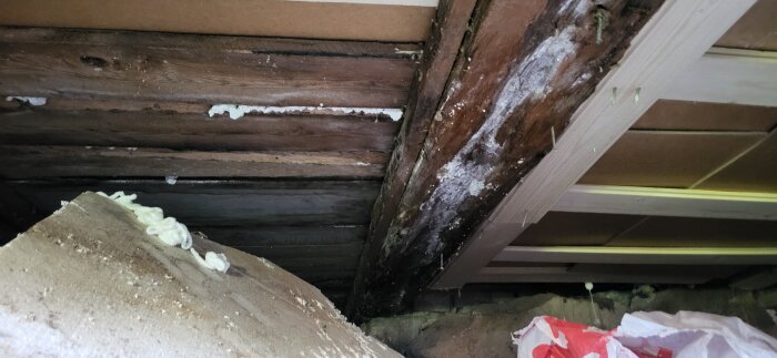 Rötskadade träbalkar i torpargrund med synliga mögelfläckar. Svårframkomlig plats fylld med byggmaterial.