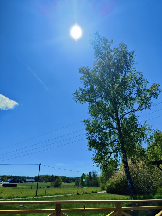Utsikt över en solig landsbygd med träd och fält, sedd från en altan.