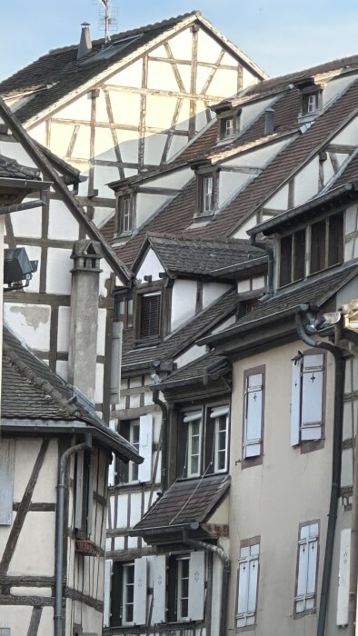 Flera korsvirkeshus i den medeltida staden Colmar, Frankrike, med detaljerade tak och fönsterluckor, i soligt väder.