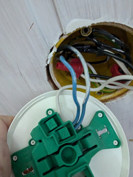PXL_20250520_184513214.jpg