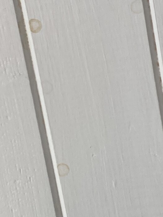 Närbild av vitt träinnertak med små fläckar av misstänkt kondensvatten.