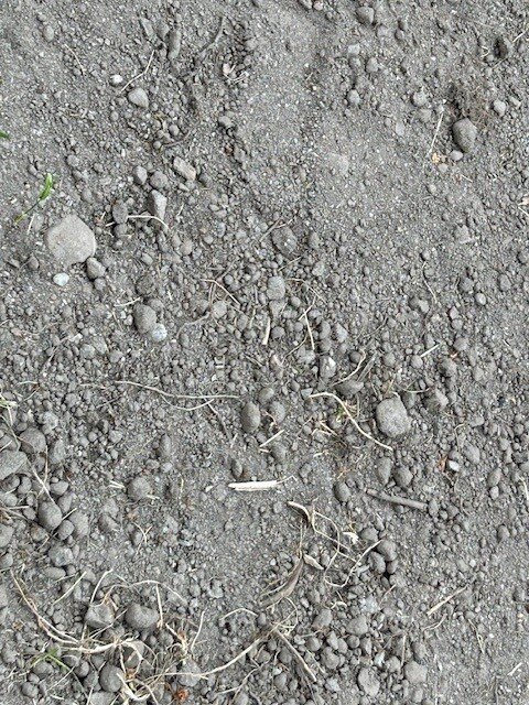 Jord med småsten, kvistar och rötter, blandad med matjord för gräsmatta, visar jordens grova textur och små stenar upp till 30mm i storlek.