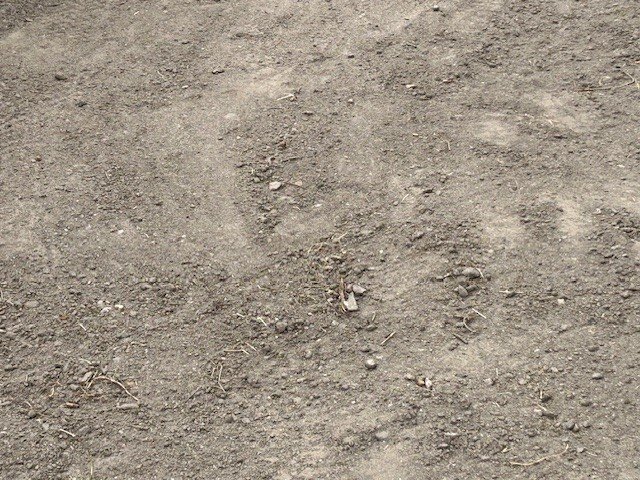 Gräsmattejord med synliga småsten, kvistar, och rötter; mindre stenar upp till 30mm. Viss grovhet och orenhet i ytan.