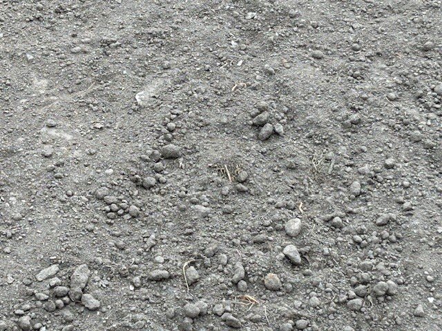 Jordyta med småsten och kvistar, varierande storlek upp till 30 mm. Inslag av smågrus och fåtal större stenar, används för gräsmatteprojektering.