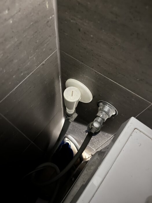 Väggmonterat avlopp med kopplade slangar för tvättmaskin och torktumlare i ett hörn med klinkerplattor.