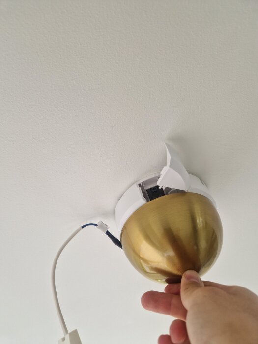 20250521_123829.jpg