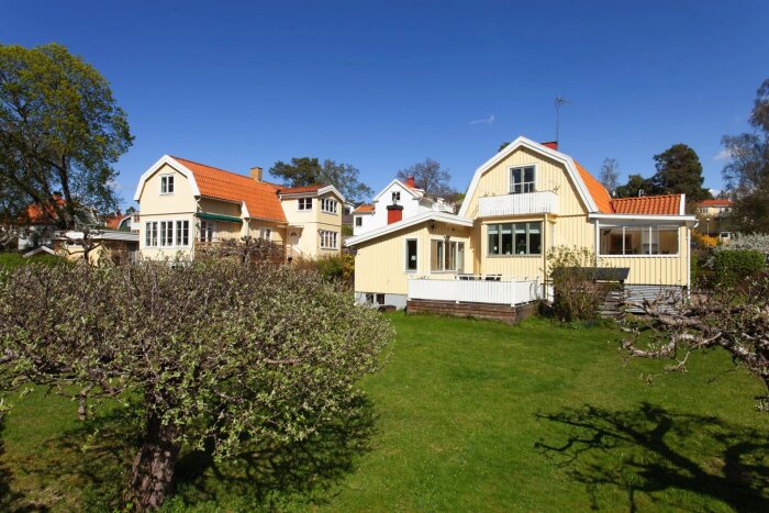 Gula trähus med röda tak i en solig trädgård; grönt gräs och knotiga träd i förgrunden, under klarblå himmel.