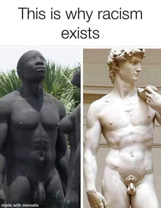 Bild som visar två skulpturer, en av en mörk staty utomhus och en av Michelangelos David i ett museum. Text ovan lyder: "This is why racism exists.