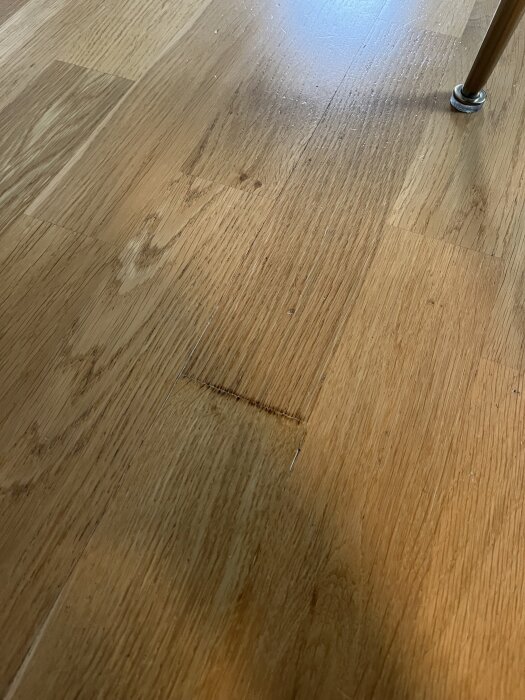 Trägolv med upphöjd skarv och bucklor, möjligen orsakade av spill eller vattenläcka. Syns även ett bordsben till höger i bilden.