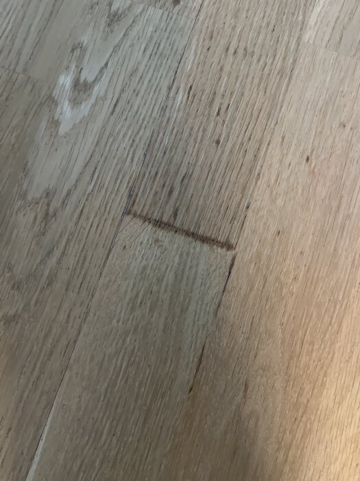 Trägolv med synlig skarv och böjning orsakad av vatten. Golvbrädorna har rest sig något vid skarven.