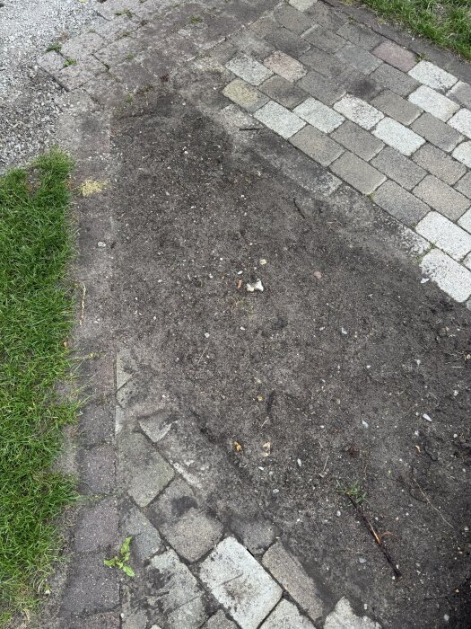 Blöt matjord från en gräsmatta ligger på marken bredvid en yta av plattor och grus. Jorden är flyttad och saknar organiskt material.