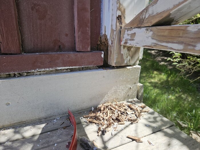 Ruttet trä vid fasadhörn med flagnad färg och träspån på marken. Verktyg ligger bredvid. Solbelyst träterrass i bakgrunden.