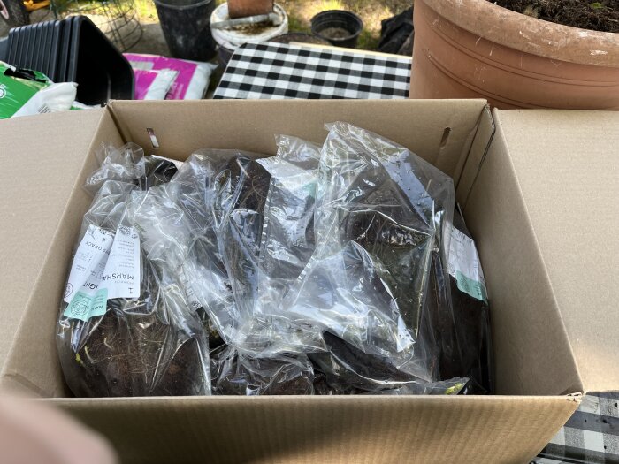 Kartong med förpackade rötter i plast, klar för plantering i krukor.