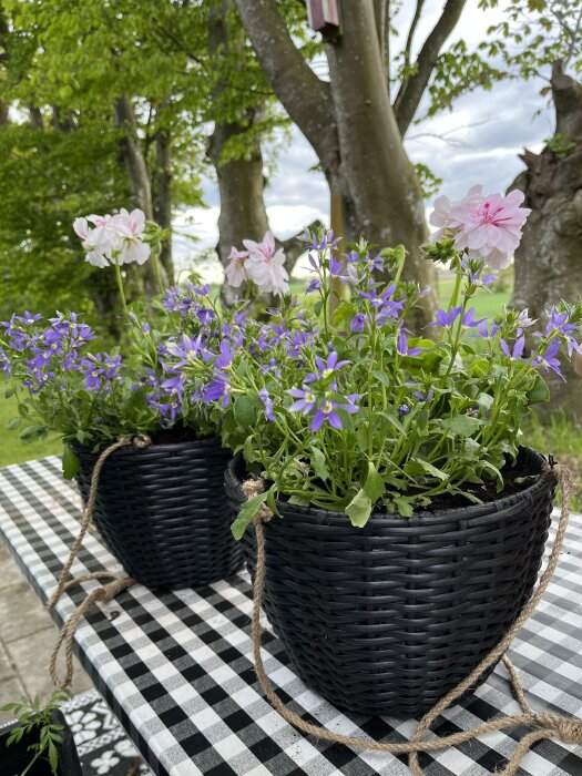 Svarta korgar med blommor, placerade på en rutig duk, omgivna av träd i en trädgårdsmiljö.