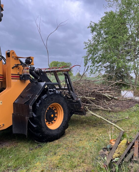 En gul traktor med flishugg står på en gräsmatta bredvid en hög med grenar. Mörka moln syns i bakgrunden.