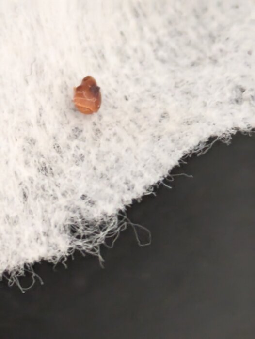 Närbild på en liten brunaktig klump placerad på en vit texturerad servett.