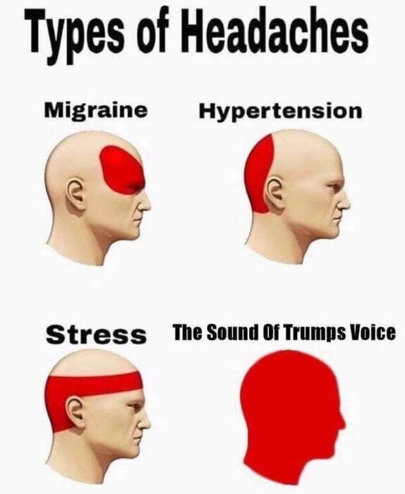Diagram över olika typer av huvudvärk: migrän, högt blodtryck, stress och en humoristisk add om "Trumps röst" med hela huvudet markerat i rött.