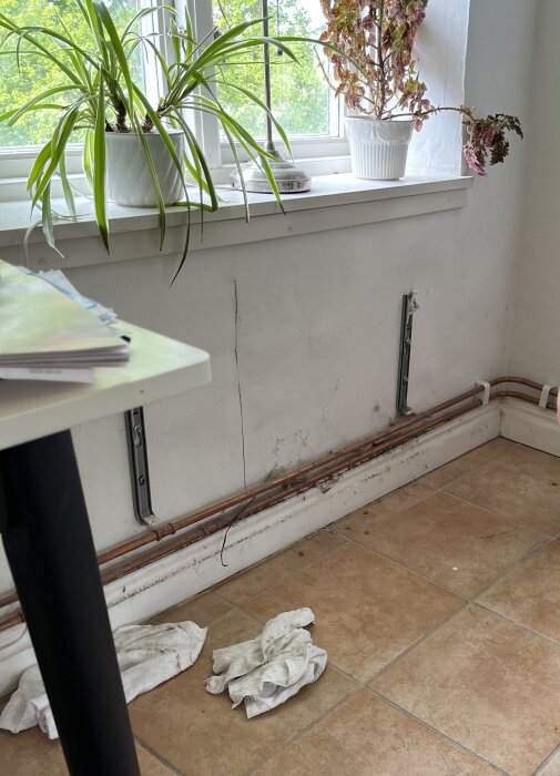 Fönsterbräda med växter och en sensor, borttagna elementbeslag på väggen och trasor på golvet.