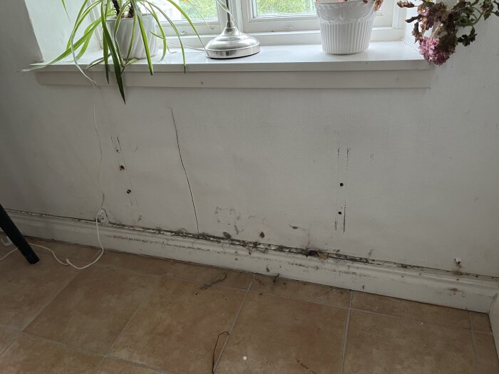 Utsikt mot en fönsterkarm med växter och en vägg med märken, hål och smuts under fönsterbrädan. Tecken på tidigare elementplacering.
