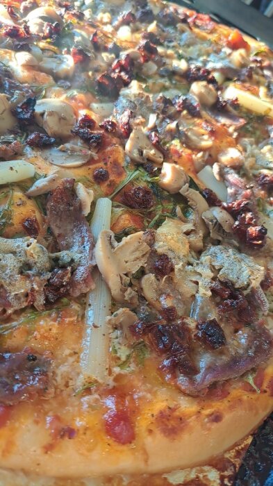 Hemgjord pizza med tomatsås, basilika, ruccola, vit sparris, champinjoner, strimlad ryggbiff, Castello blå och soltorkad tomat.