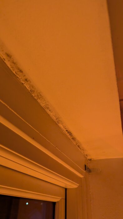 Mögel ovanför fönster syns på väggen med oregelbundna mörka fläckar.