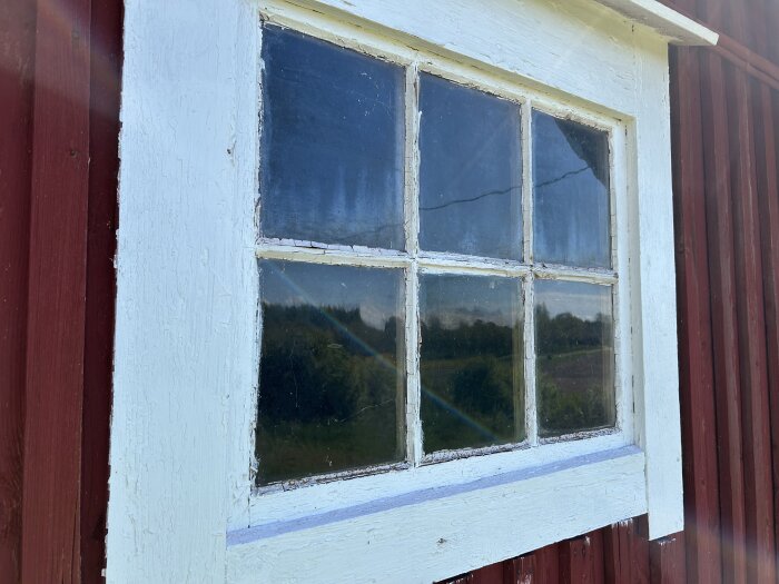 Fönsterbåge i trä med vit färg och spröjsar, monterad på en röd trävägg. Färgen är något krackelerad.