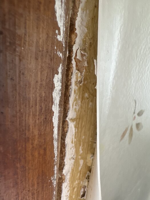 Skadad vägg med flagnande tapet och synlig träpanel, där tapeten har börjat lossna och visar lager av gammal tapet och mögelfläckar.