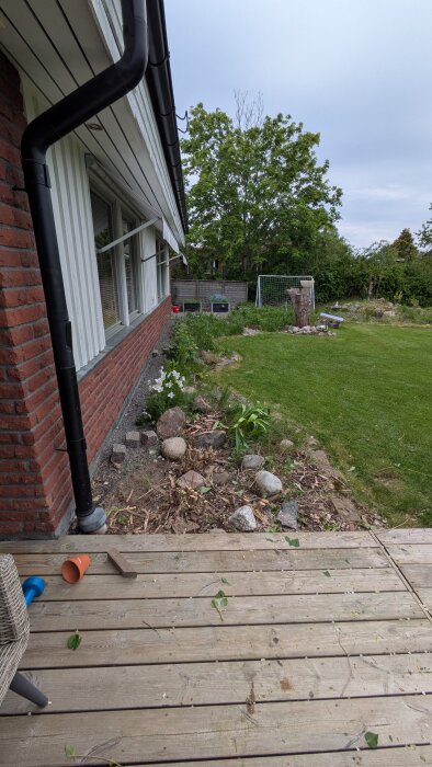 En nedskuren syrénbuske vid en husvägg, omgiven av sten och grönska, med förberedelser för byggställning i trädgården.