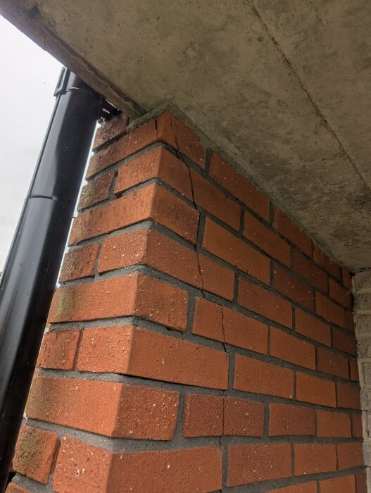 Spricka i tegelvägg vid hörn, sträcker sig från det yttre hörnet inåt. Bakomliggande yta är en grå betongstruktur.