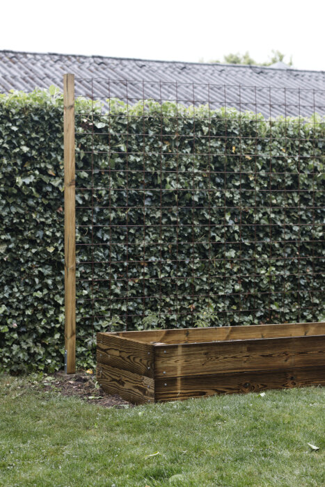 Odlingslåda av trä med monterad spaljé av armeringsnät i en trädgård, grönt gräs i förgrunden.