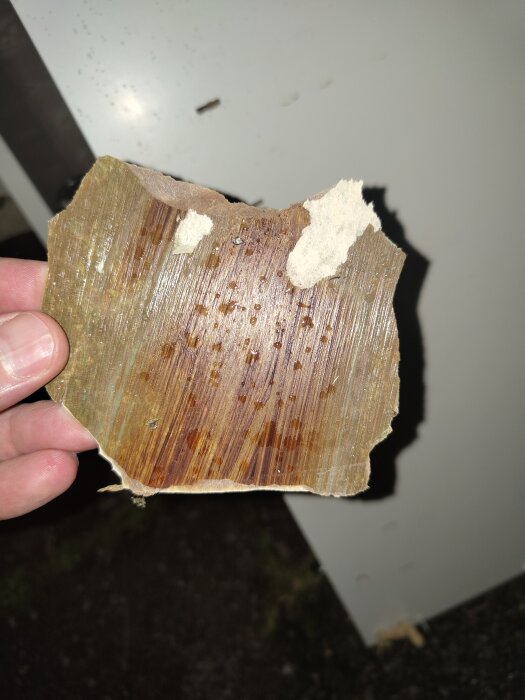 Närbild av en hand som håller en sönderriven bit av skiva med brun, fiberrik yta och ljusa, ojämna kanter. Fråga om asbestinnehåll.