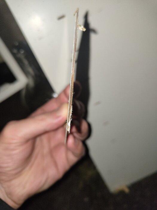 En hand håller en tunn skiva av okänt material, fotad från sidan med fokus på tjockleken. Skivan är lossad från en vägg eller yta.
