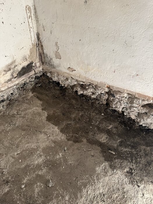 Vattensipprande källarhörn med skadad puts på vägg och golv, i ett hus från 1911 efter regn. Potentiellt dräneringsproblem.