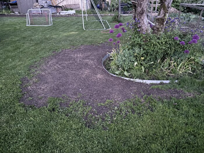 Nyfylld och jämnad jordfläck på gräsmatta, omgiven av blommande rabatter med träd i bakgrunden, nära fotbollsmål.